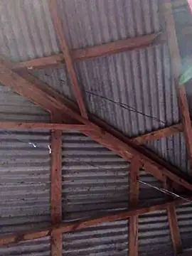 Ladyzee25 online show from 26, 11, 2025