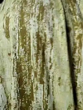 mens weakness online show from 2, 11, 2025