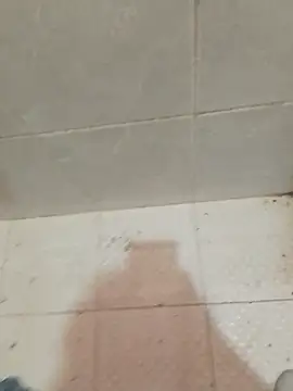 enoc369 online show from 23, 4, 2026