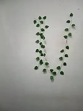 Neha-Bhabhi-Rasily online show from 8, 3, 2026