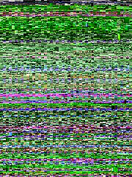 RightFielder online show from 25, 11, 2025