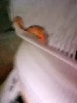 patrona sexooo online show from 11, 10, 2025