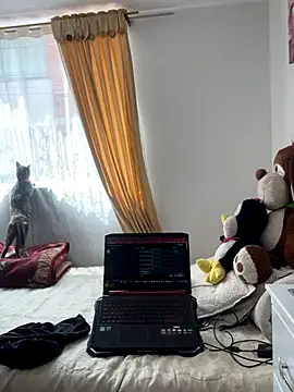 Snapshot of VictoriaGerard_Pink chatting on 7, 11, 2025 VictoriaGerard Pink online show from 7, 11, 2025