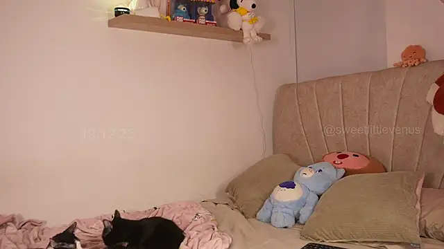 sweetlittlevenus online show from 19, 12, 2025