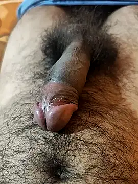 pmr1997 online show from 11, 10, 2025