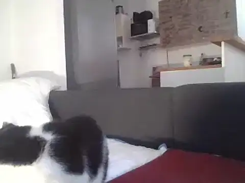 Snapshot of ThePython666 chatting on 22, 3, 2025 ThePython666 online show from 22, 3, 2025