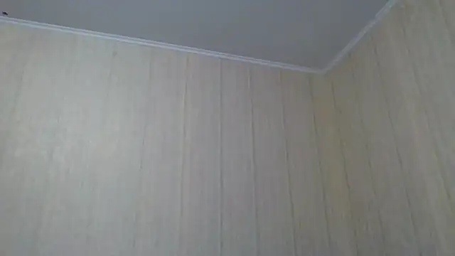  Black-Panther  online show from 28, 9, 2025