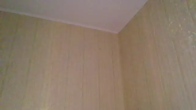  Black-Panther  online show from 12, 11, 2025