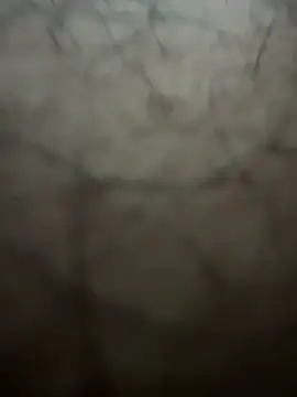 Snapshot of Vicky20256 chatting on 27, 2, 2026 Vicky20256 online show from 27, 2, 2026