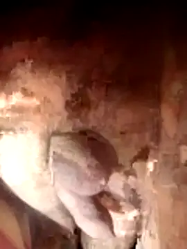 Ayush pussy fucker online show from 23, 11, 2025