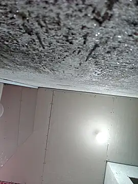 membro destruidor online show from 31, 3, 2026