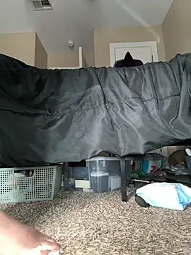 Snapshot of creamynala chatting on 24, 2, 2026 creamynala online show from 24, 2, 2026