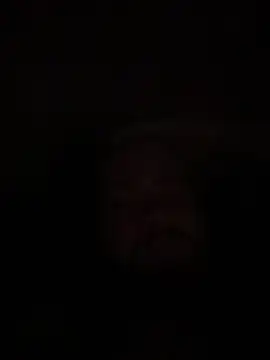 Snapshot of Bear2323 chatting on 20, 5, 2026 Bear2323 online show from 20, 5, 2026