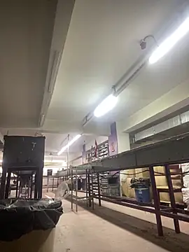 giyasbvnghkgkfk online show from 13, 4, 2026