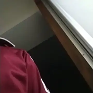 SunkLupus online show from 11, 4, 2026