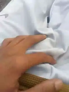 tiibcstuj online show from 14, 2, 2026