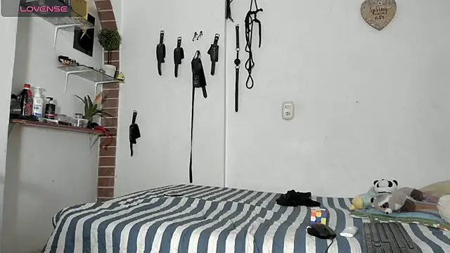 morbo total69 online show from 11, 3, 2026