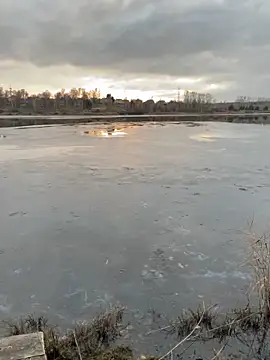 elliot scott online show from 22, 10, 2025