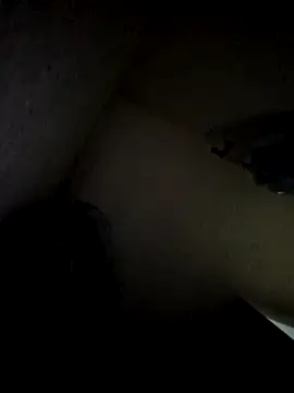 Ortiz3404 online show from 2, 12, 2025