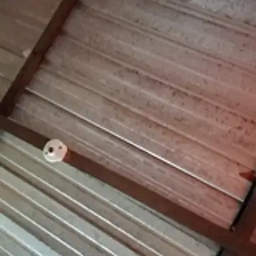 Ortiz3404 online show from 5, 4, 2026