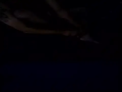 Crossedsissy online show from 15, 12, 2025