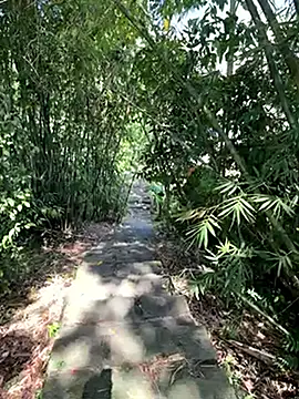 zack23088 online show from 18, 10, 2025