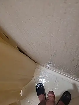 catluvr999 online show from 26, 3, 2026