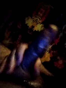 salimbasha online show from 11, 1, 2026