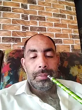 salimbasha online show from 4, 4, 2026