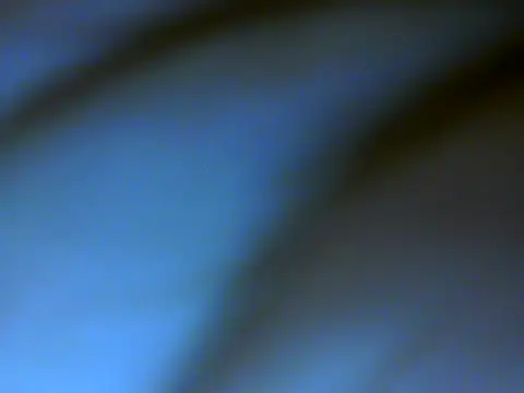 RENUKA RAJPUT online show from 17, 12, 2025