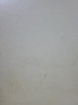 titooritax online show from 1, 11, 2025