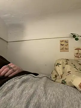 Evand13 online show from 24, 4, 2026