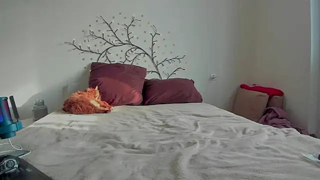 VellvetAnders online show from 1, 2, 2026