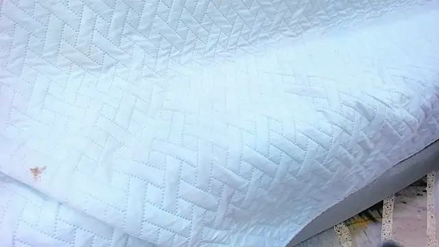 Snapshot of crystal_sm chatting on 13, 2, 2026 crystal sm online show from 13, 2, 2026