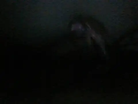 Snapshot of itachi_thebro1 chatting on 10, 6, 2026 itachi thebro1 online show from 10, 6, 2026