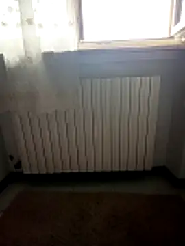 alicepavia22 online show from 10, 4, 2026