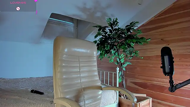 AuroraShoww online show from 20, 11, 2025