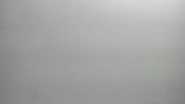 ximena vasquez8 online show from 21, 2, 2026