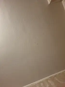 gazb90 online show from 24, 3, 2026