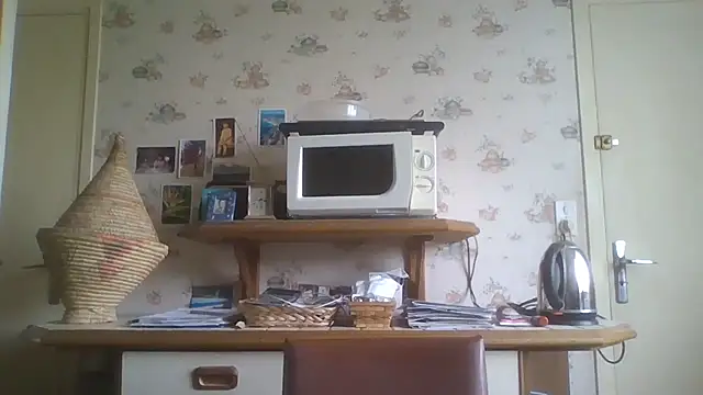 Snapshot of gegevincent chatting on 2, 5, 2026 gegevincent online show from 2, 5, 2026