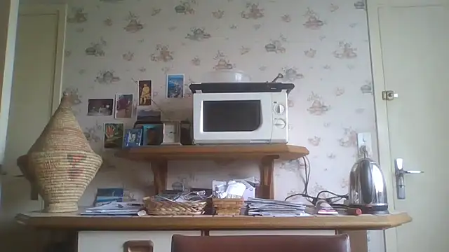 Snapshot of gegevincent chatting on 3, 5, 2026 gegevincent online show from 3, 5, 2026