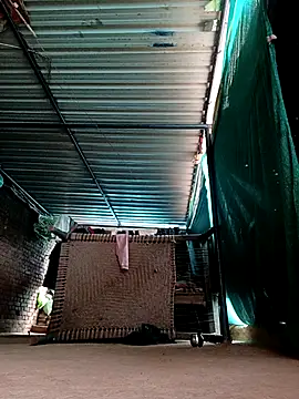 Shiya janu online show from 3, 2, 2026