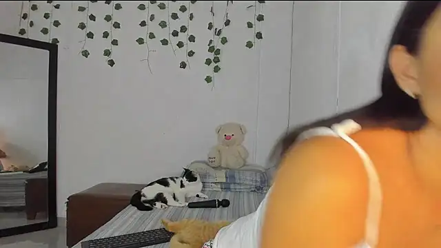 PureFire20 online show from 19, 11, 2025