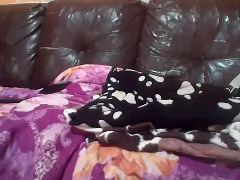 PREDADOR76 online show from 10, 10, 2025