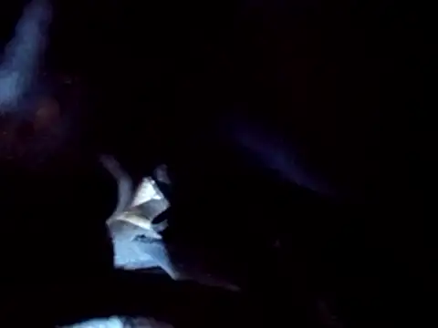 Snapshot of PENTHOUSECEOCLUBHOUSEPRES chatting on 25, 11, 2025 PENTHOUSECEOCLUBHOUSEPRES online show from 25, 11, 2025