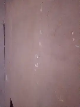 juanpa8453 online show from 23, 4, 2026