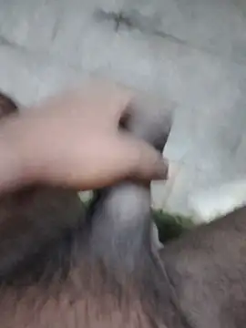 Saikishore00000 online show from 12, 9, 2025