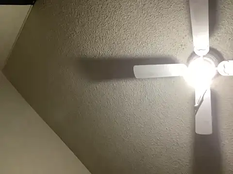 NiftyCaptain3 online show from 31, 3, 2026