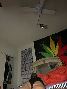 NiftyCaptain3 online show from 3, 4, 2026