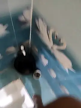 Telugu person12 online show from 12, 11, 2025